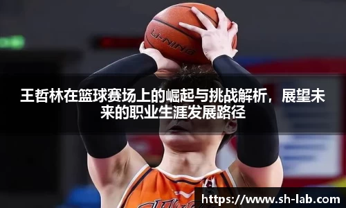 王哲林在篮球赛场上的崛起与挑战解析，展望未来的职业生涯发展路径