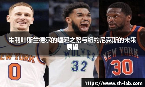 朱利叶斯兰德尔的崛起之路与纽约尼克斯的未来展望