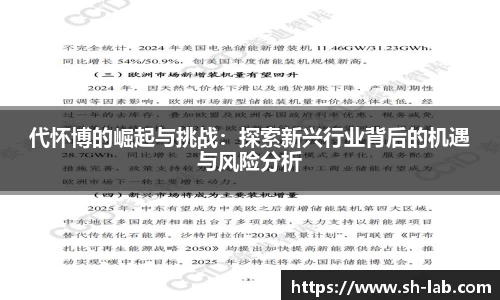 代怀博的崛起与挑战：探索新兴行业背后的机遇与风险分析
