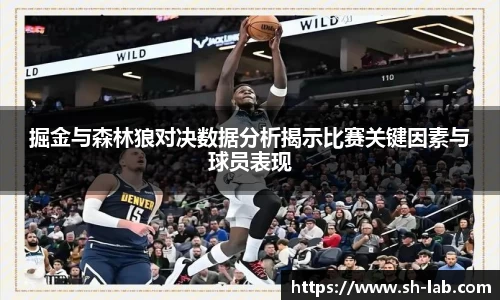 掘金与森林狼对决数据分析揭示比赛关键因素与球员表现